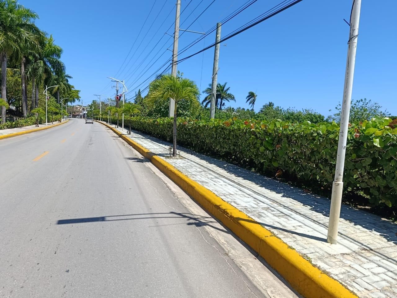 Avenida con zonas verdes cuidadas
