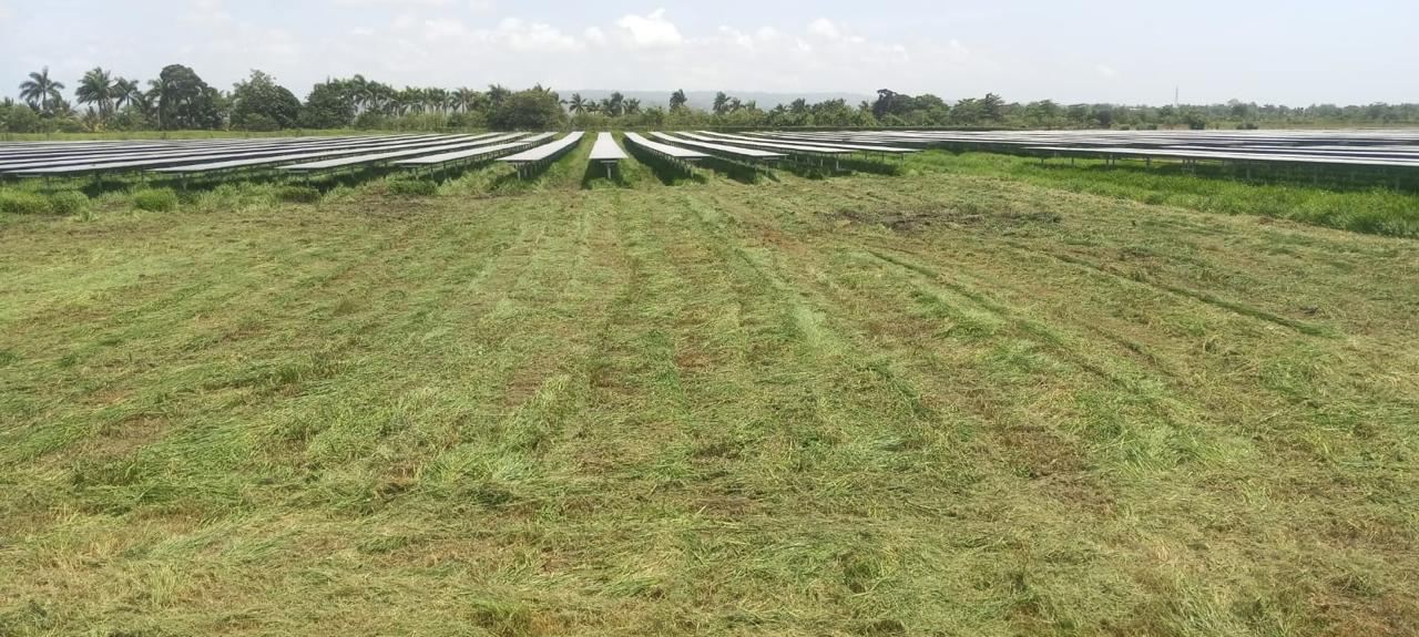Parque solar mantenido