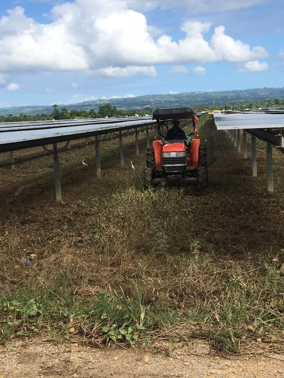 Tractor desbrozando entre filas de paneles solares
